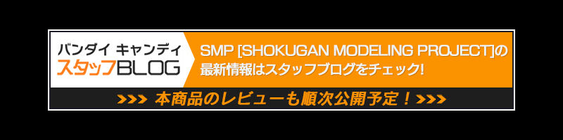 SMP [SHOKUGAN MODELING PROJECT] 創聖のアクエリオン 無限拳