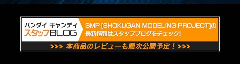 SMP [SHOKUGAN MODELING PROJECT] スーパーロボット大戦OG SRX 天下無敵のオプションパーツセット【プレミアムバンダイ限定】