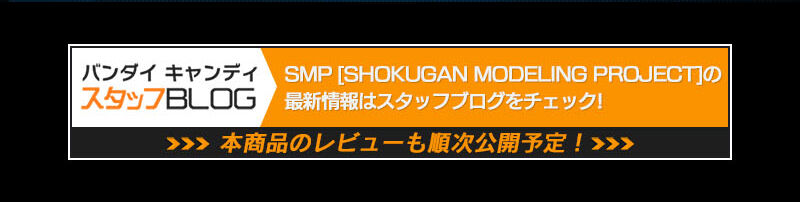 SMP [SHOKUGAN MODELING PROJECT] スーパーロボット大戦OG R-2パワード＆R-3パワード【プレミアムバンダイ限定】