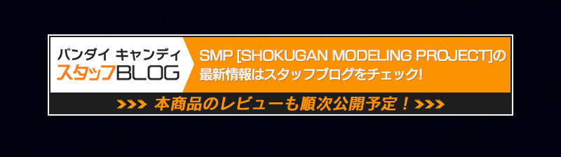 SMP [SHOKUGAN MODELING PROJECT] 蒼き流星SPTレイズナー レイズナー 