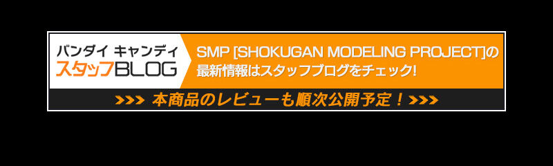  SMP [SHOKUGAN MODELING PROJECT] z̃ANGI