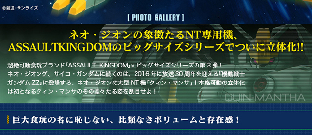 ASSAULT KINGDOM クィン・マンサ【プレミアムバンダイ限定】【2