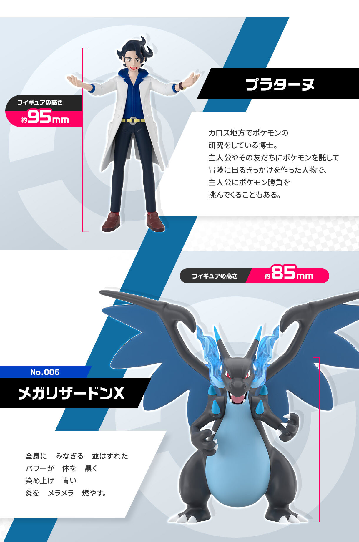 �v���^�[�k�����K���U�[�h��X