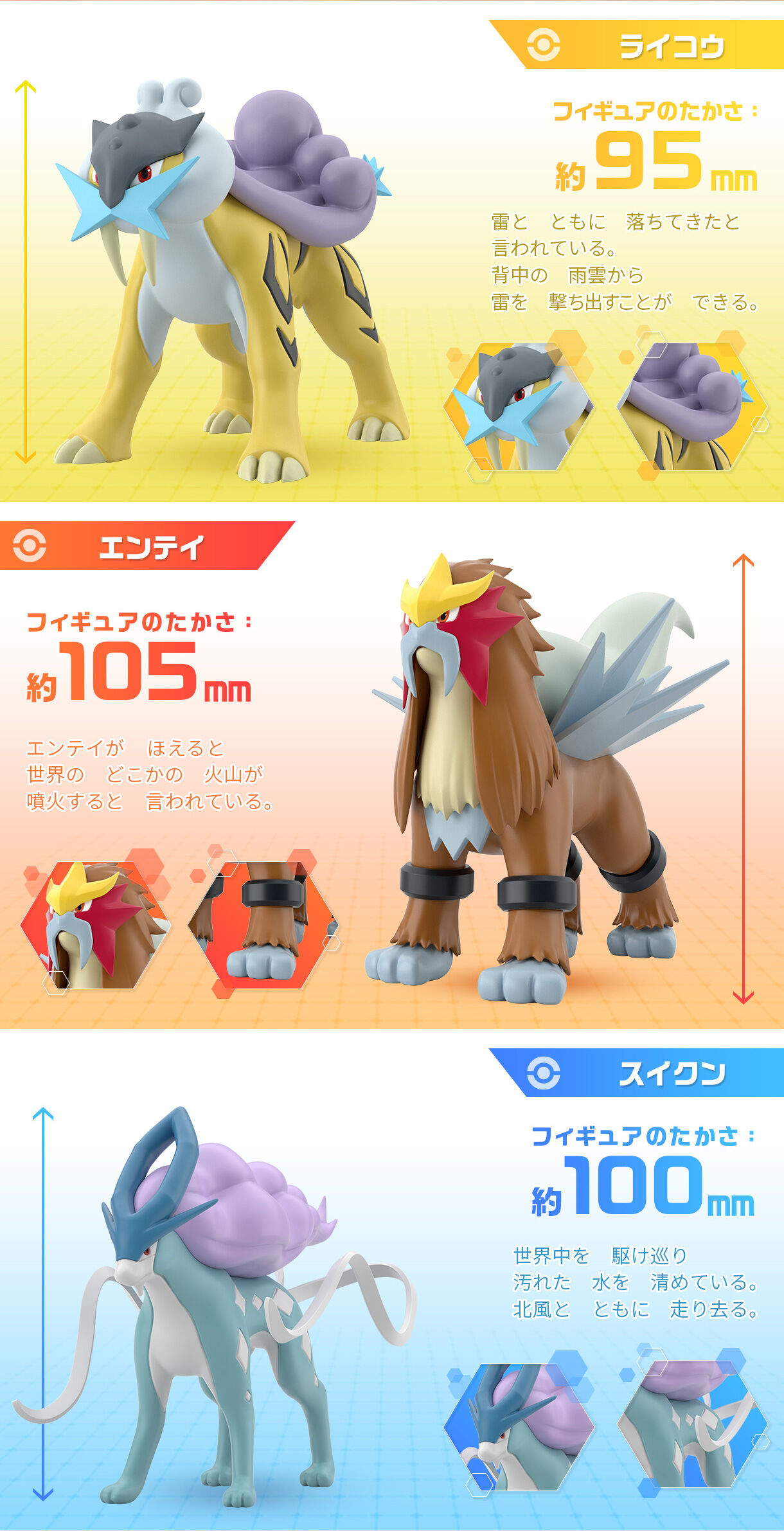 ポケモンスケールワールド ジョウト地方 ライコウ＆エンテイ＆スイクン 