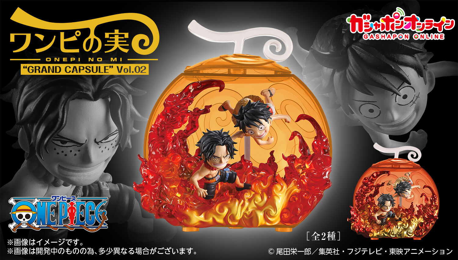 KV|ICuFrom TV animation ONE PIECE s̎ hGRAND CAPSULEh Vol.02v