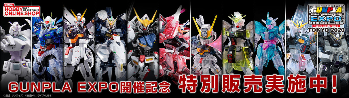 RG 1/144 クロスボーン・ガンダムX1[チタニウムフィニッシュ RG 1/144 クロスボーン・ガンダムX1[チタニウムフィニッシュ