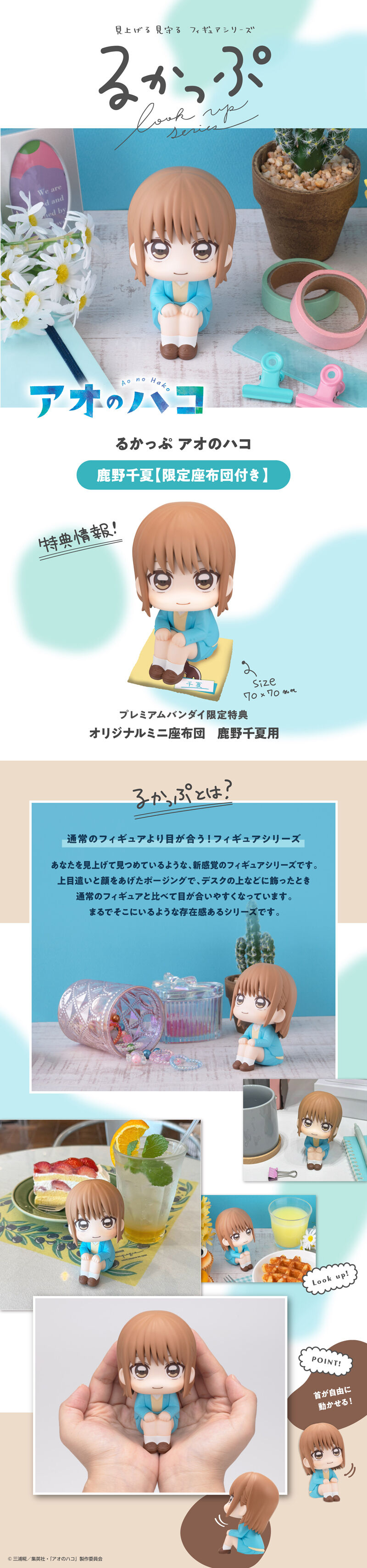 るかっぷ アオのハコ 鹿野千夏【限定座布団付き】 | アオのハコ