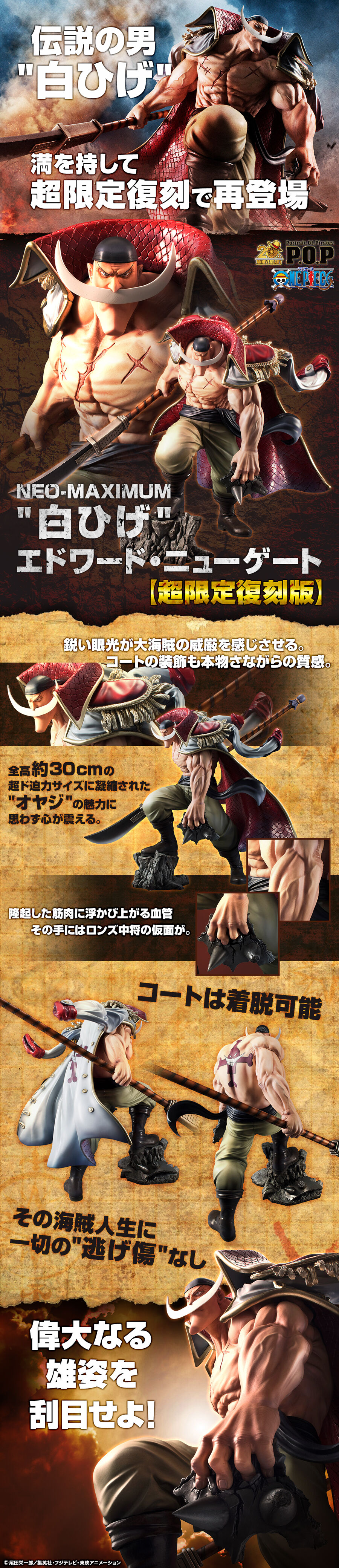 新製品情報も満載 白ひげ Maximum エドワードニューゲート ※マルコはつきません コミック・アニメ