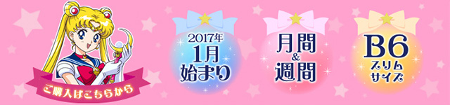 美少女戦士セーラームーン 2017年 メイクアップ手帳（セーラームーン柄