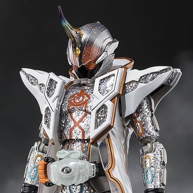 S.H.Figuarts ���ʃ��C�_�[�S�[�X�g ���Q����