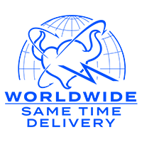WORLD WIDE SAME TIME DELIVERY
