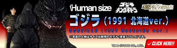 Human size SWi1991 kCver.j
