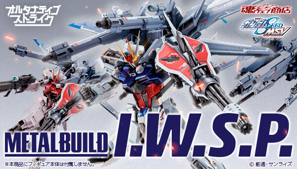 METAL BUILD I.W.S.P. | 機動戦士ガンダムSEED フィギュア・プラモデル