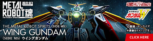 METAL ROBOT SIDE MS ECOK_