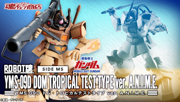 Robot Spirits(Side MS) R-SP YMS-09D Dom Tropical Test Type ver. A.N.I.M.E.