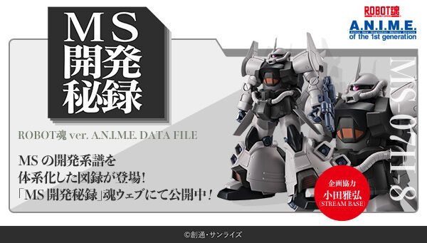 ROBOT魂 ＜SIDE MS＞  グフ・フライトタイプ ver. アニメ 新品