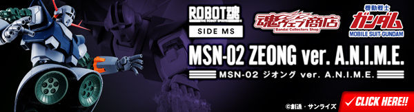 ROBOT魂 〈SIDE MS〉 MSN-02 ジオング ver. A.N.I.M.E.
