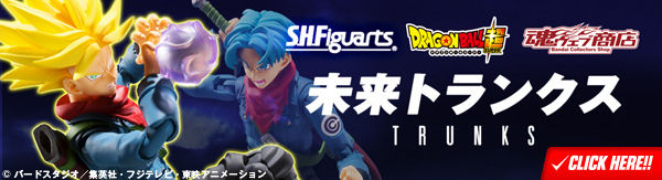 S.H.Figuarts gNX