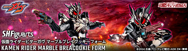 S.H.Figuarts ʃC_[r^[K }[uuCNbL[tH[