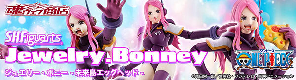 S.H.Figuarts WG[E{j[ -GbOwbh-