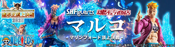 S.H.Figuarts }R -}tH[h㌈-