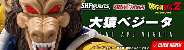 S.H.Figuarts チチ-少女期- | ドラゴンボールシリーズ フィギュア