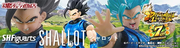 S.H.Figuarts Vbg