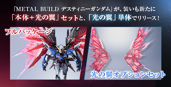 抽選販売】METAL BUILD デスティニーガンダム(フルパッケージ