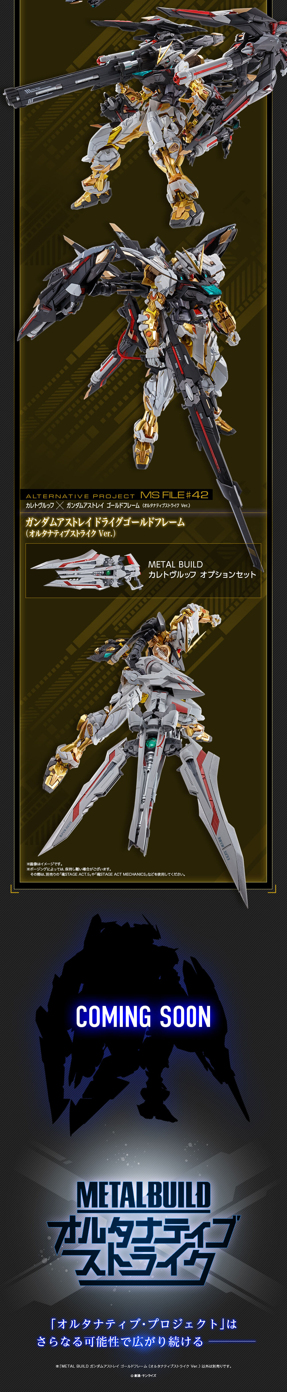 Metal Build MBF-P01 Gundam Astray Gold Frame(Alternative Strike)