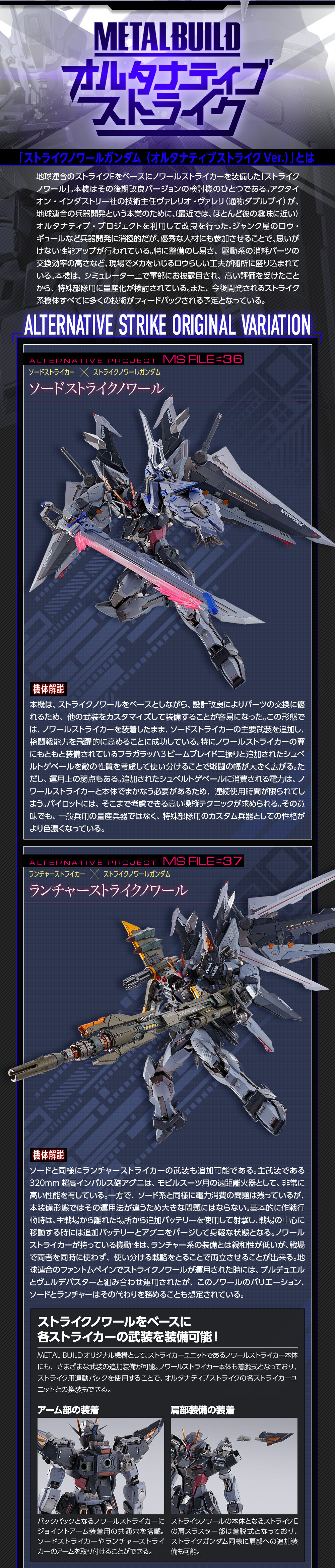抽選販売】METAL BUILD ストライクノワールガンダム (オルタナティブ