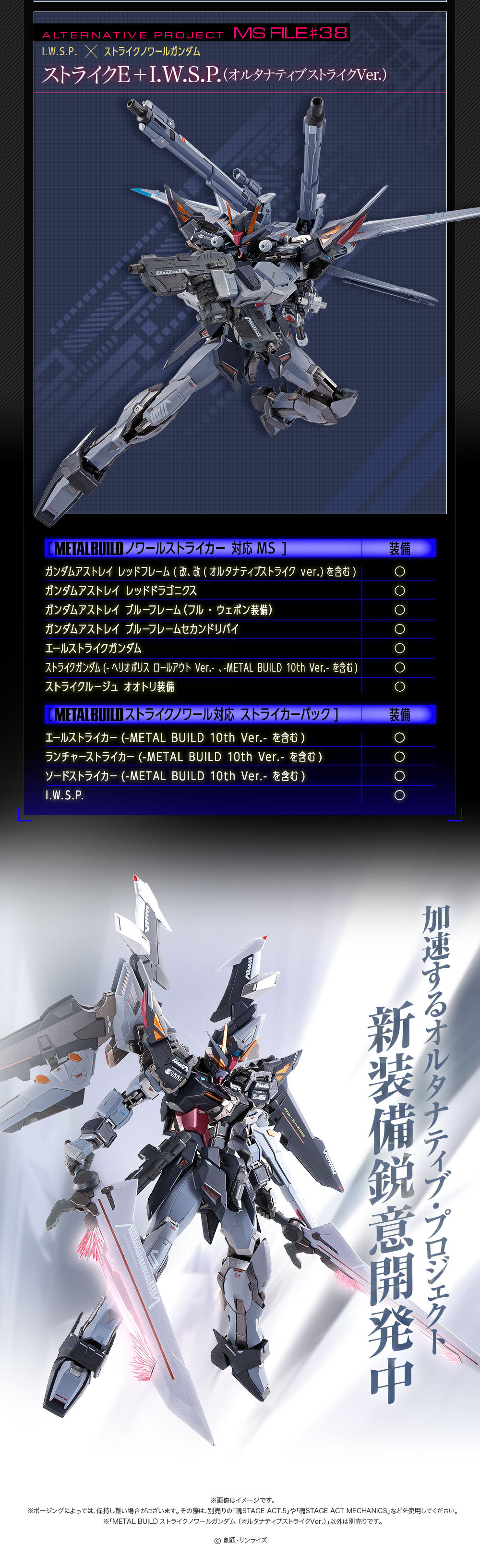 抽選販売】METAL BUILD ストライクノワールガンダム (オルタナティブ