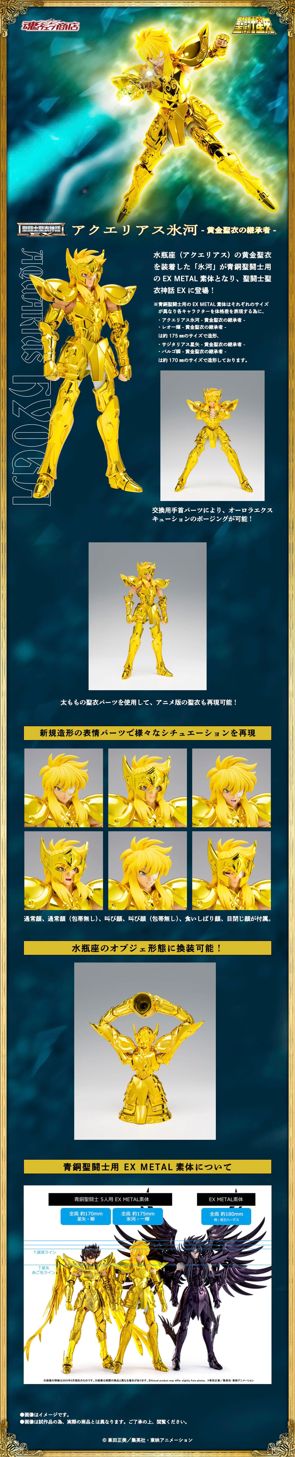 聖闘士星矢 水瓶座 アクエリアス氷河 シャカ トレーディングコレクションカード 聖闘士星矢 水瓶座 アクエリアス氷河 シャカ トレーディング