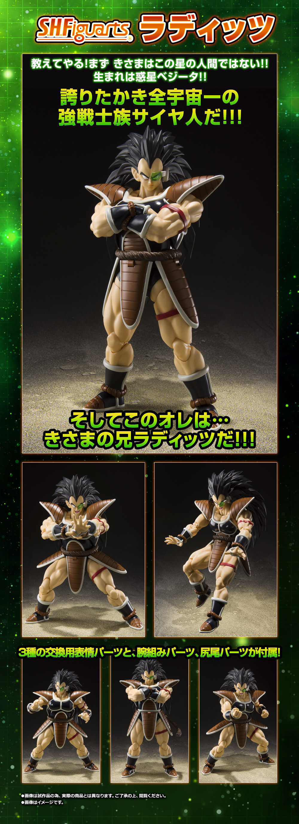 S.H.Figuarts Raditz (Dragon Ball Z) Action Figure - Kurama Toys