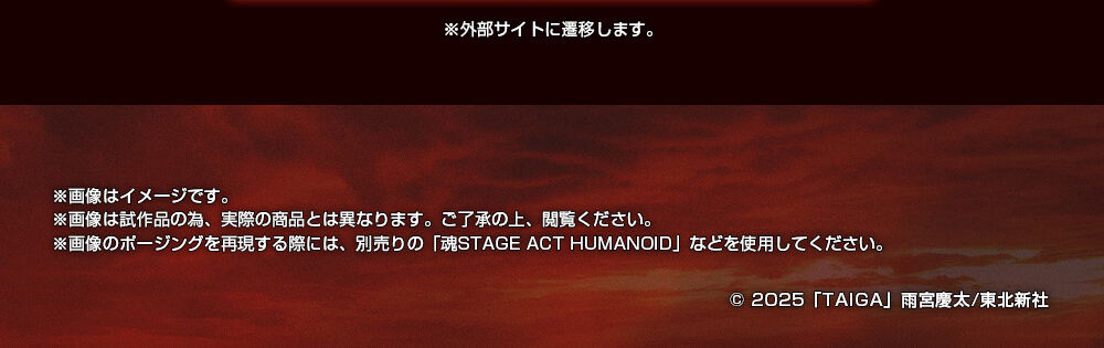 S.H.Figuartsi^@j RmKiᓇ́j