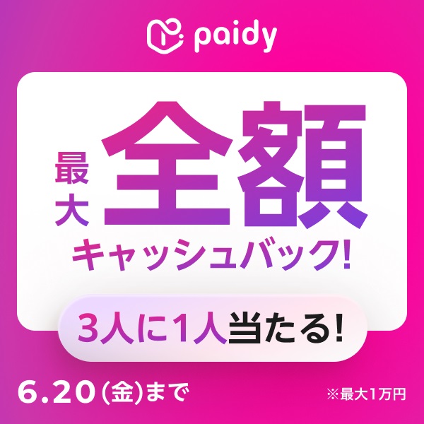 PaidyLbVobNLy[JÒI620()܂ŁI