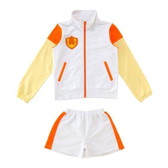 �A�C�J�c�I�X�^�C���@�X�^�[�n�[���j�[�w���W���[�W