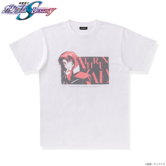 @mK_SEED DESTINY gCJ[ACe TVc