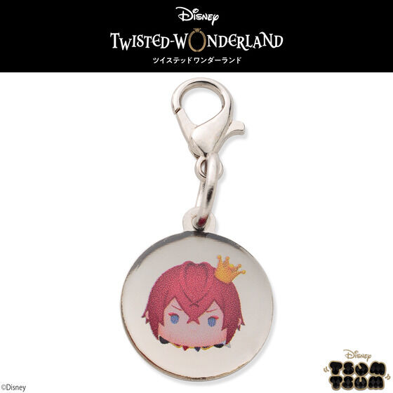 �f�B�Y�j�[ �c�C�X�e�b�h�����_�[�����h �c���c�� �`���[���t���u���X���b�g�p �`���[���P�� �n�[�c���r����