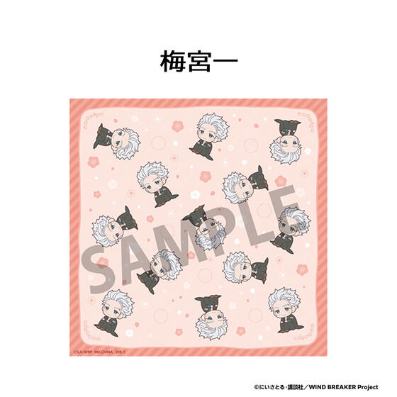 �邩���Ղ�����݃N���X WIND BREAKER