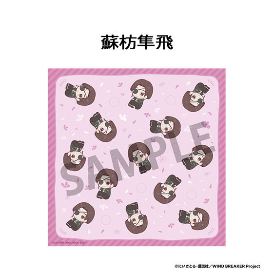 �邩���Ղ�����݃N���X WIND BREAKER