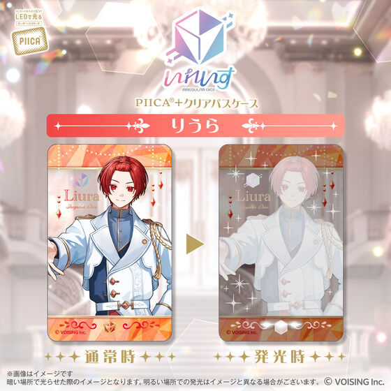 ꂢ PIICA{NApXP[X(S6)