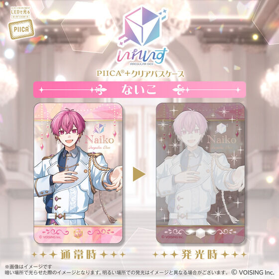 ꂢ PIICA{NApXP[X(S6)