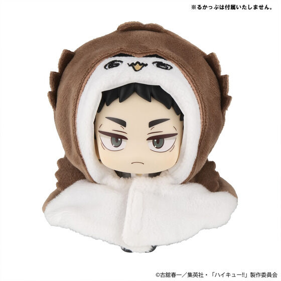 �邩���� �|���`�� �n�C�L���[!! �{�N�g�t�N���E/�A�J�A�V�t�N���E