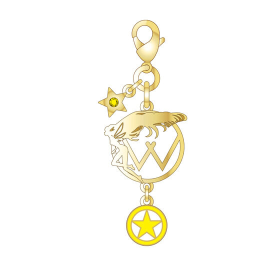 �y���ʌ���z�}�N���X����������  ���`�[�t�`���[��