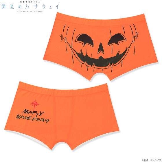 �@����m�K���_�� �M���̃n�T�E�F�C �{�N�T�[�p���c�i�S2��j