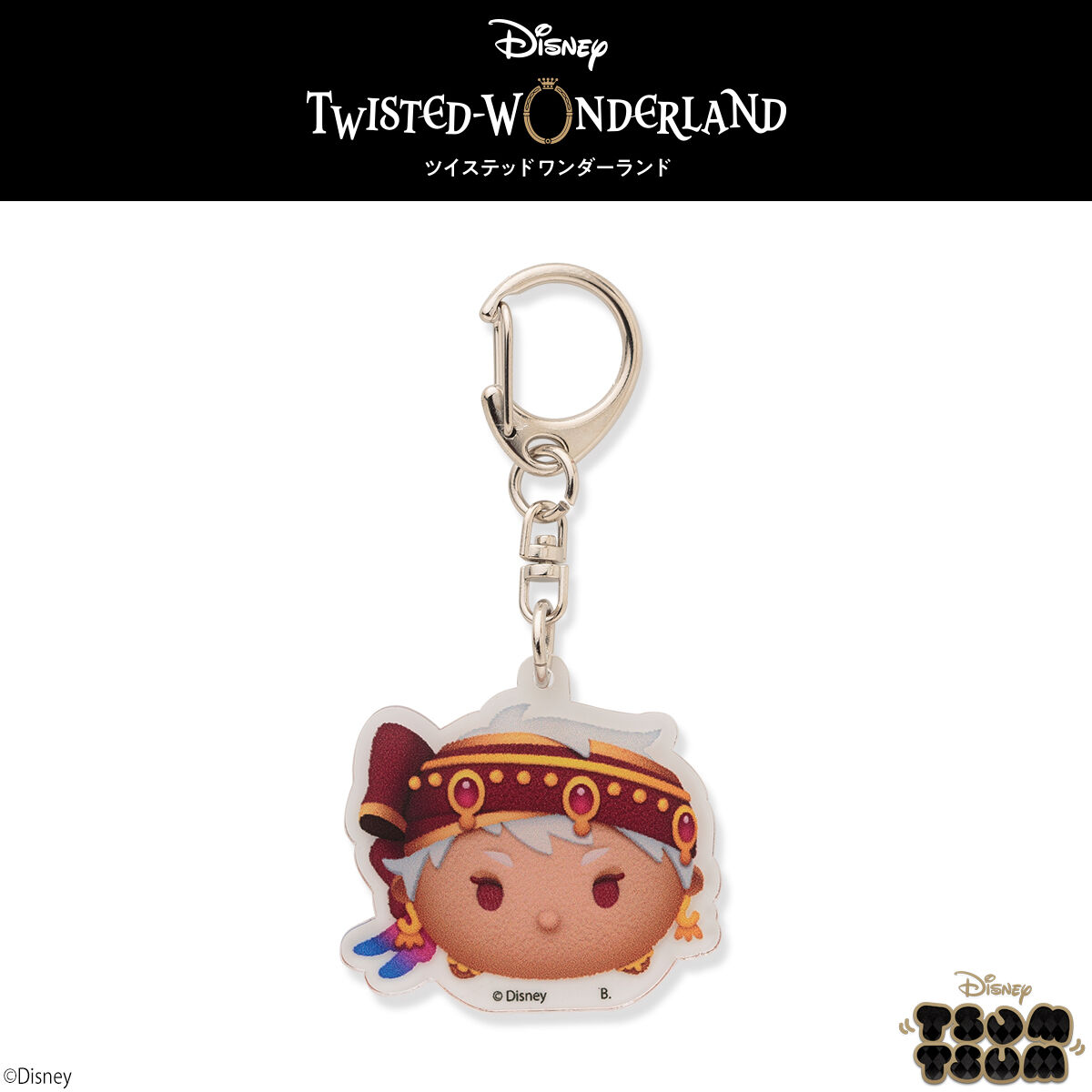 ハピクロ！ツイステッドワンダーランド ツムツム アクリル