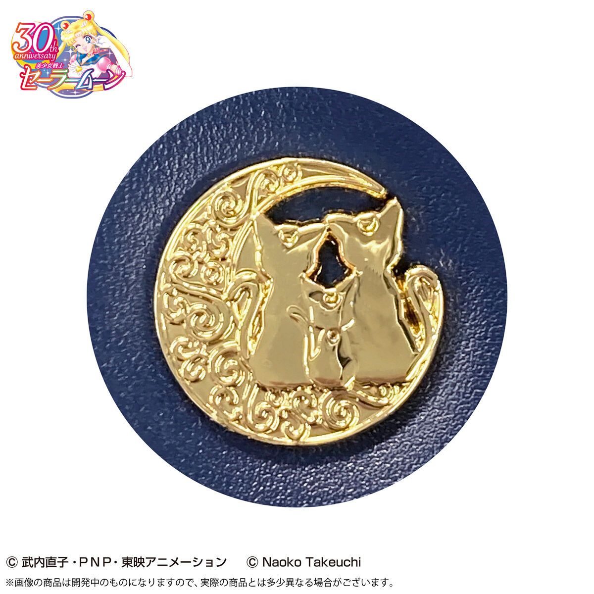 美少女戦士セーラームーン スリムペンケース(全2種) | 美少女戦士