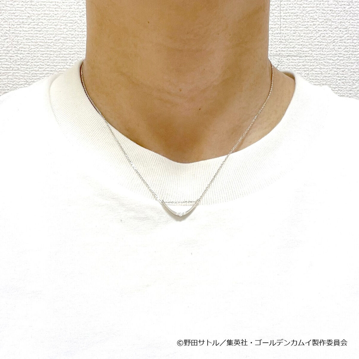 2718272_5.jpg