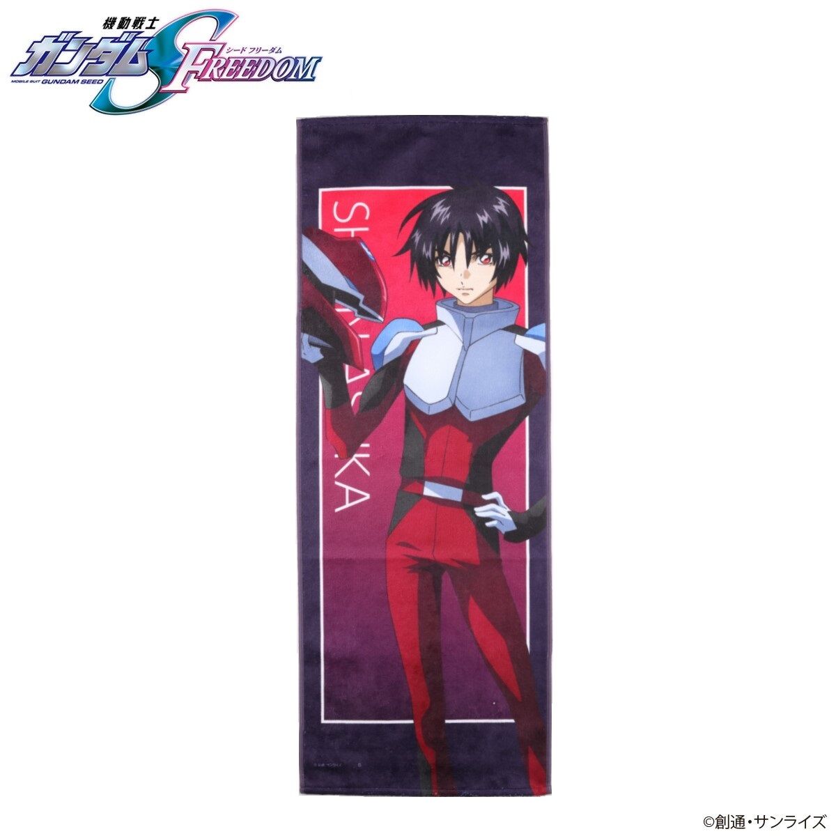 BANDAI バンダイ 機動戦士 ガンダムSEED DESTINY カードダスマスターズ 