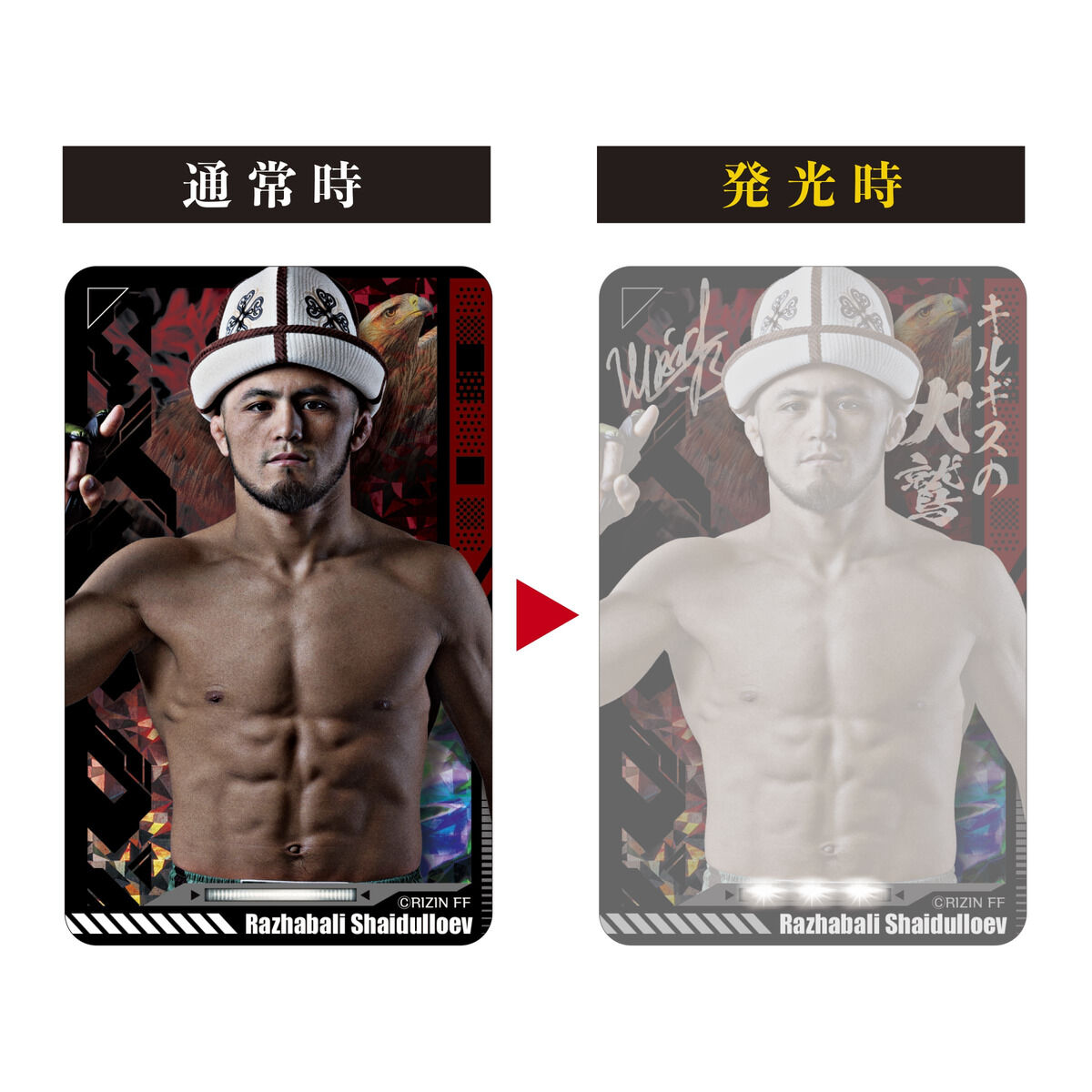 ハピクロ！】RIZIN PIICA＋クリアパスケース (全18種) | ファッション